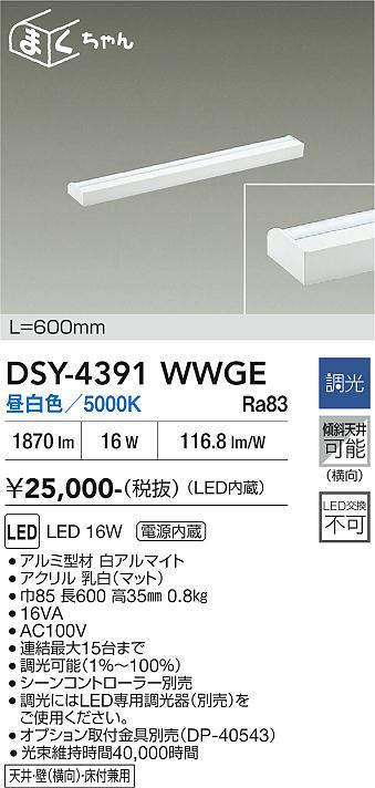 DSY-4391WWGE