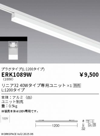ERK1089W