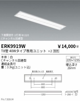 ERK9919W