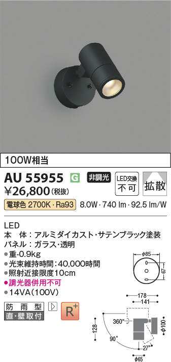 AU55955