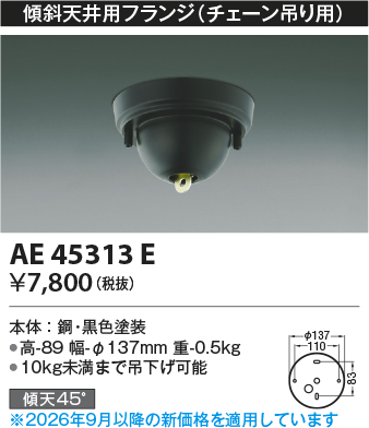 AE45313E