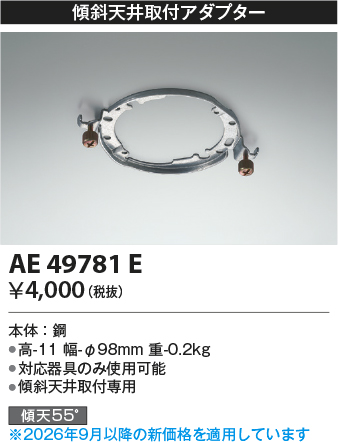 AE49781E