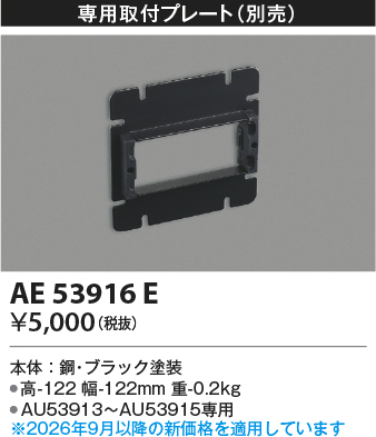 AE53916E
