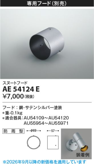 AE54124E