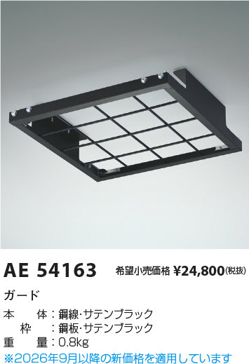 AE54163