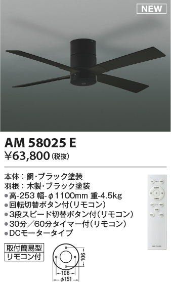 AM58025E