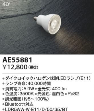 AE55881