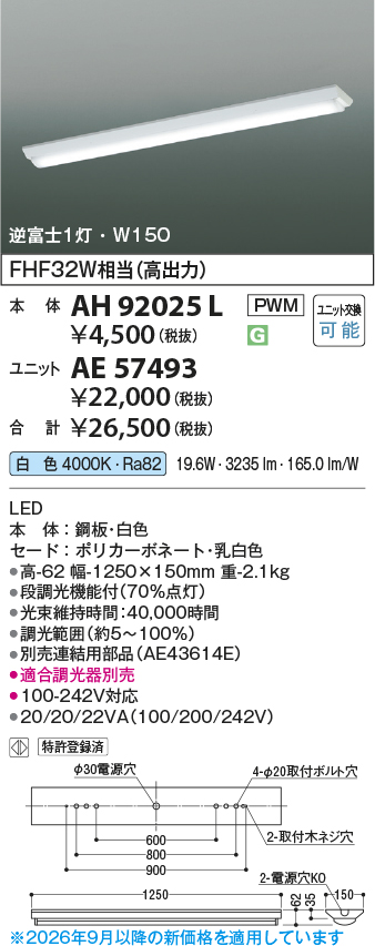 AE57493