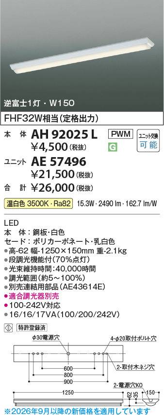 AE57496