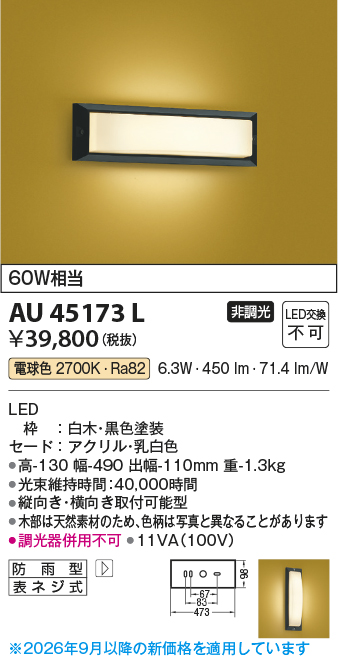AU45173L