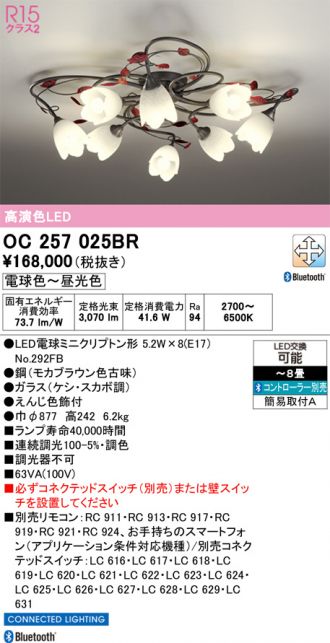 OC257025BR