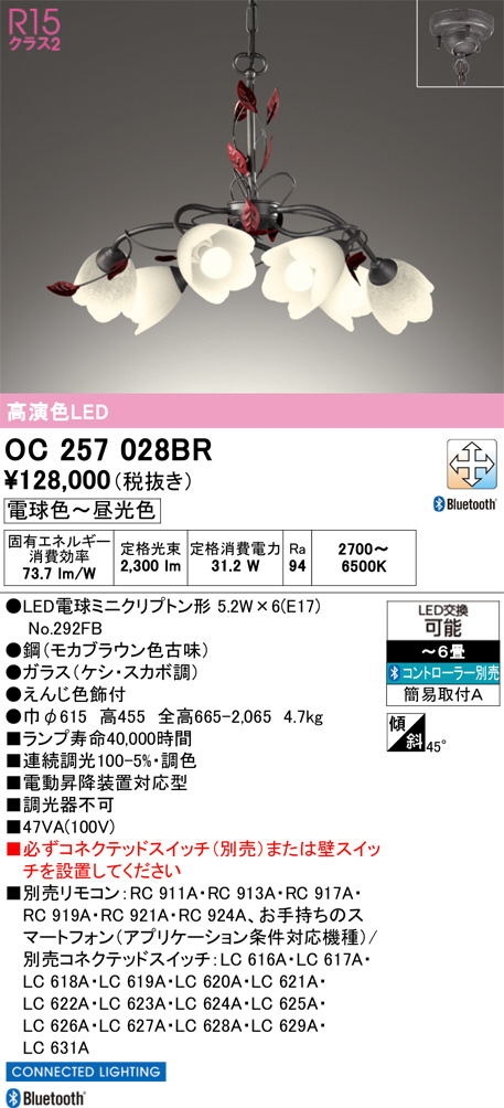 OC257028BR