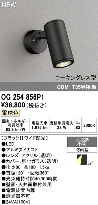 OG254856P1