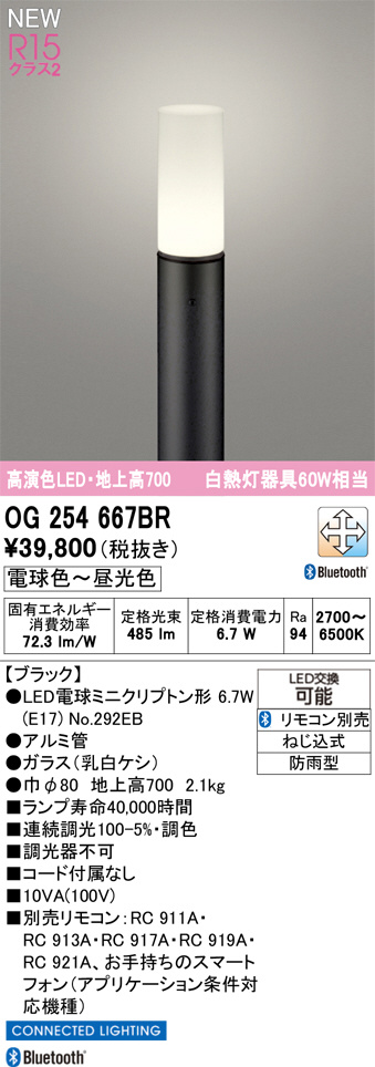 OG254667BR
