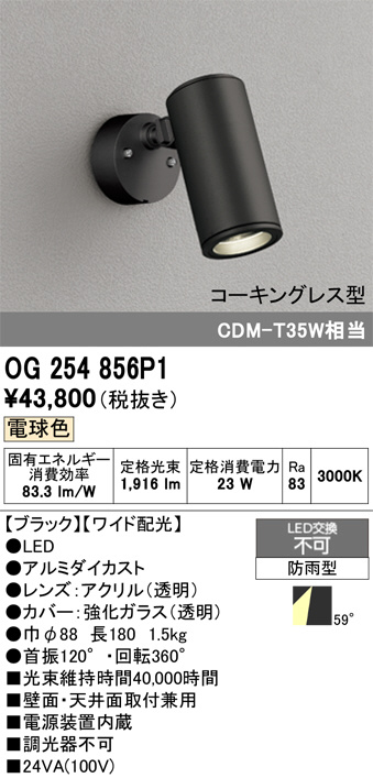 OG254856P1