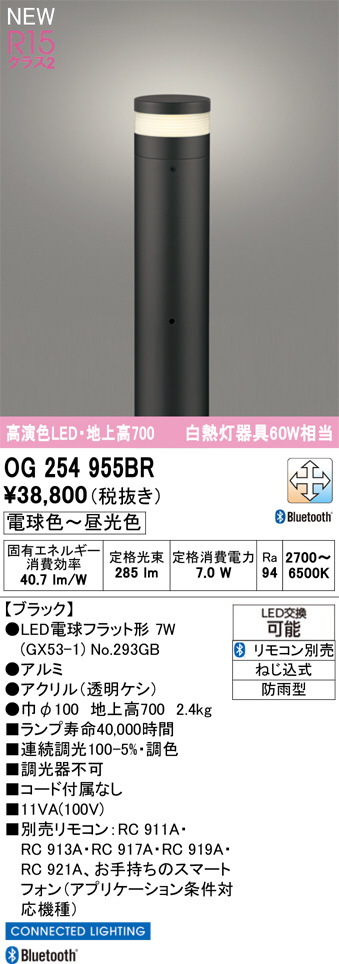 OG254955BR