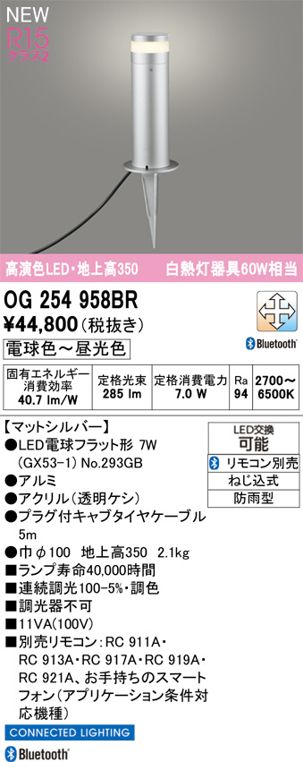 OG254958BR