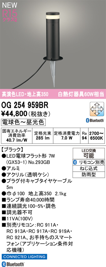 OG254959BR