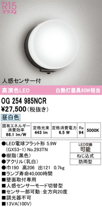 OG254985NCR