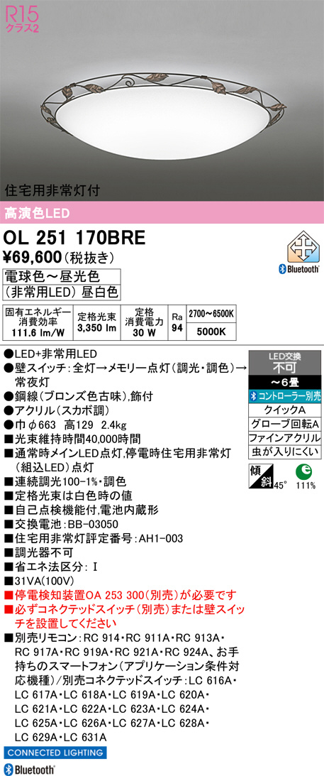OL251170BRE
