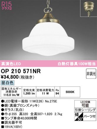 OP210571NR