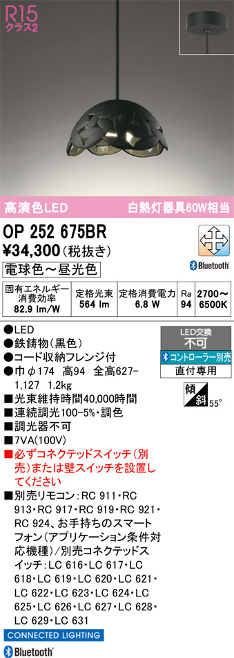 OP252675BR