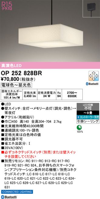 OP252828BR