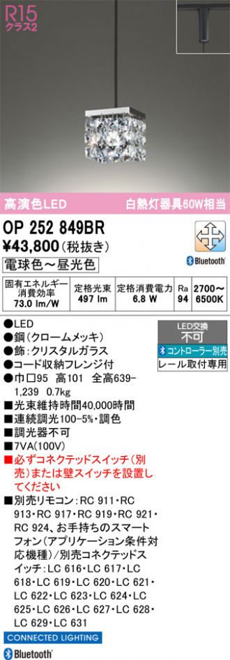 OP252849BR