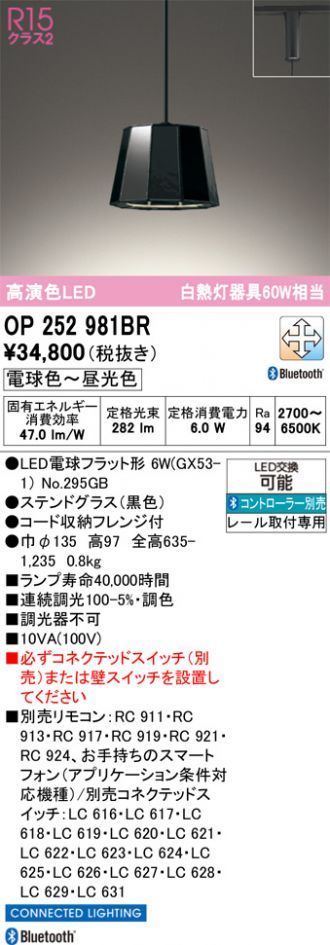 OP252981BR
