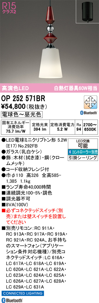 OP252571BR