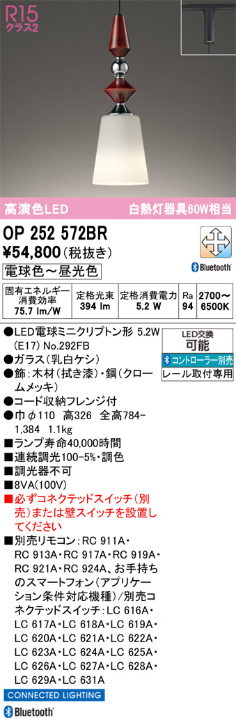 OP252572BR