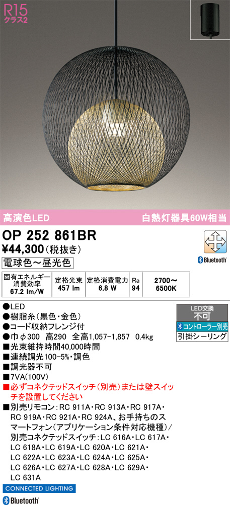 OP252861BR