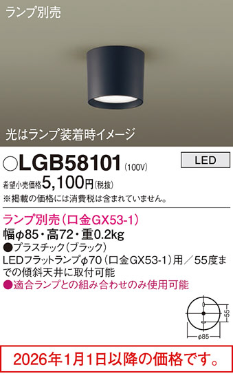 LGB58101