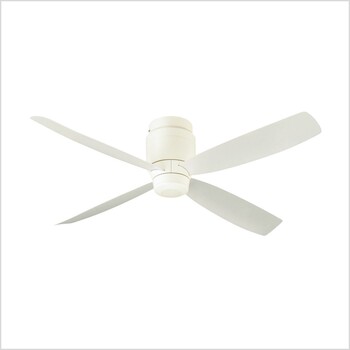 F-V113C-W