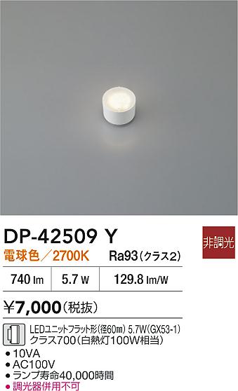 DP-42509Y