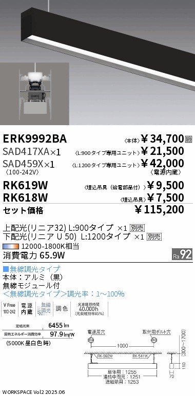 ERK9992BA...