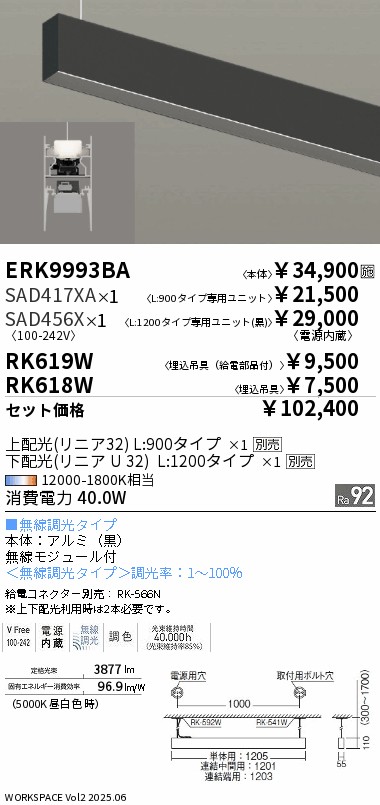ERK9993BA...