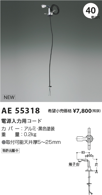 AE55318