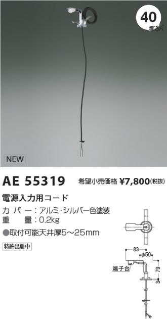 AE55319