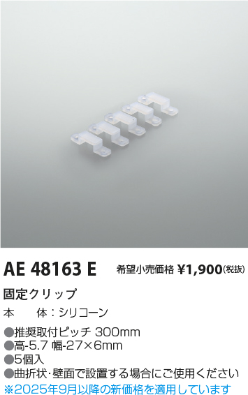 AE48163E