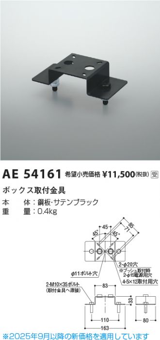 AE54161