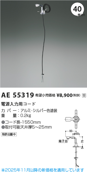 AE55319