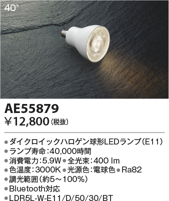 AE55879