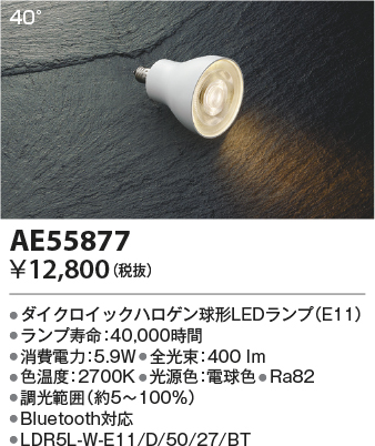 AE55877
