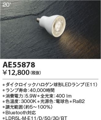 AE55878