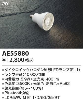 AE55880