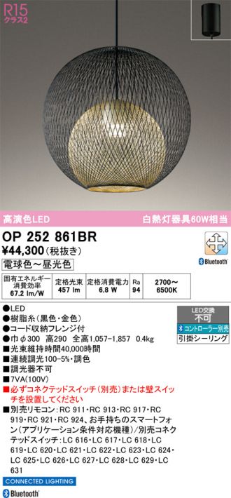 OP252861BR