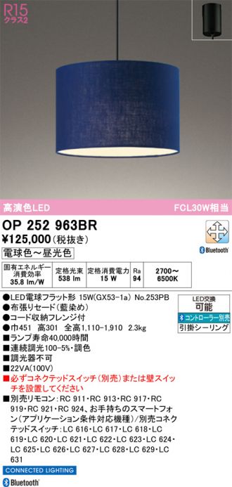 OP252963BR