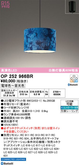OP252966BR