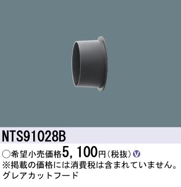 NTS91028B